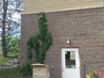 outside entrance to Cavendish library